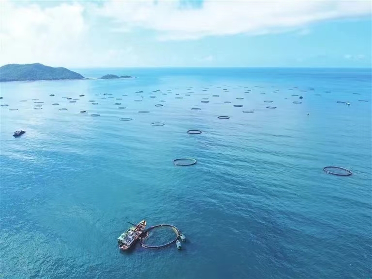 再攀新高！三亞農(nóng)投海洋產(chǎn)業(yè)有限公司成功入選海南省專(zhuān)精特新企業(yè)