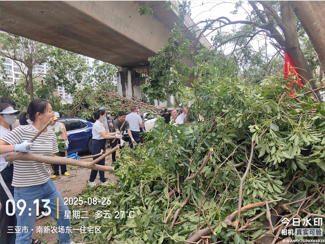 三亞環(huán)農集團：黨旗引領 助力災后重建加速